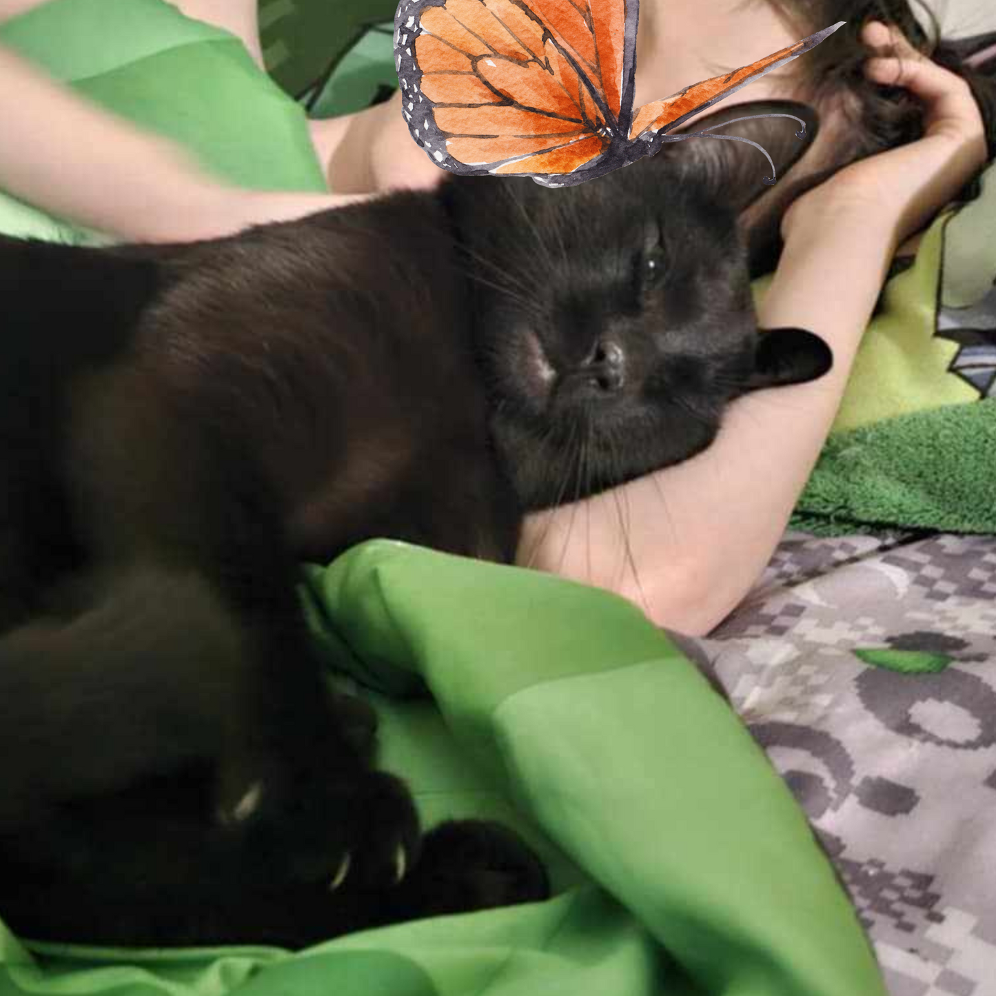Blacky