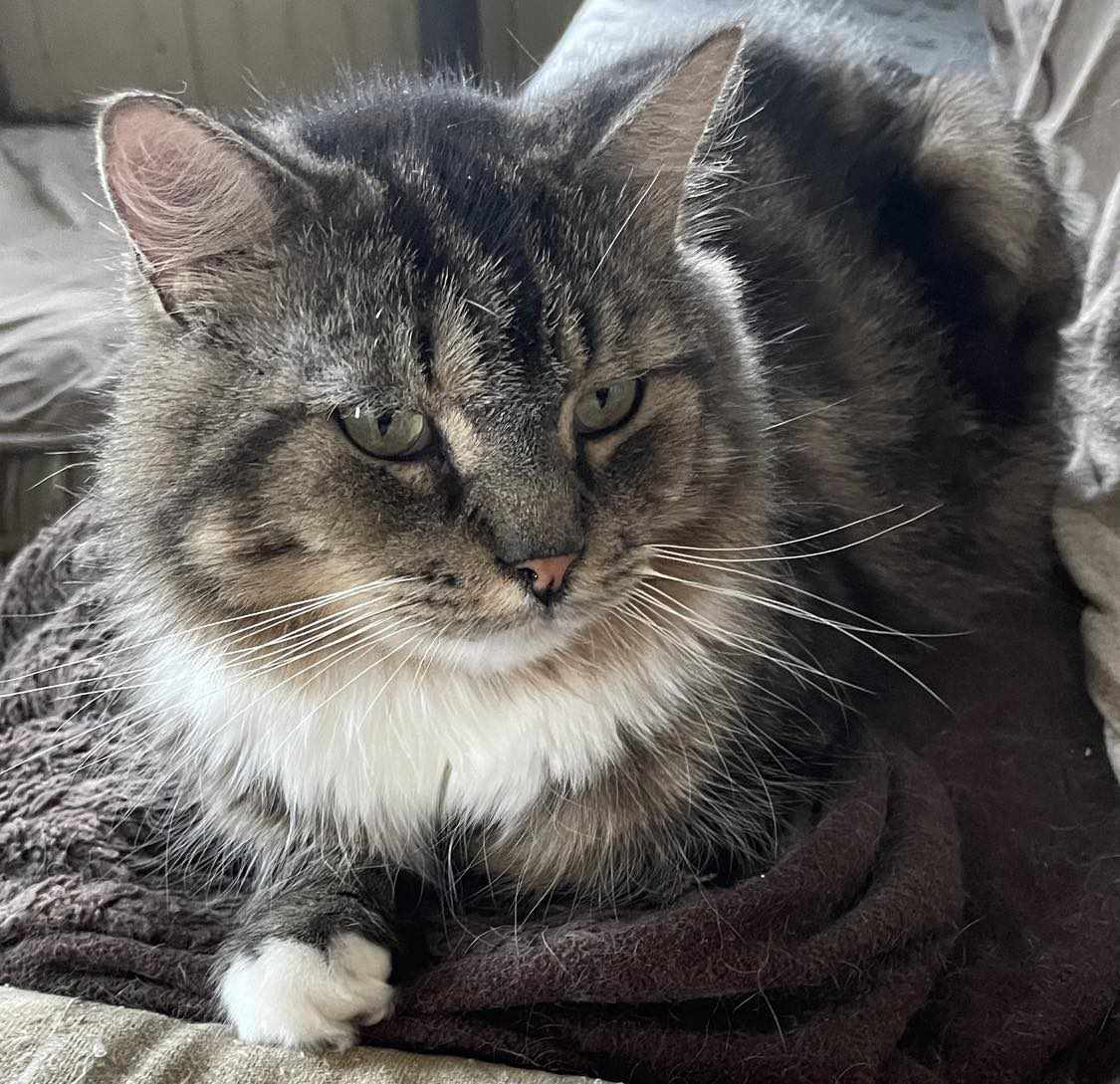 Marcos