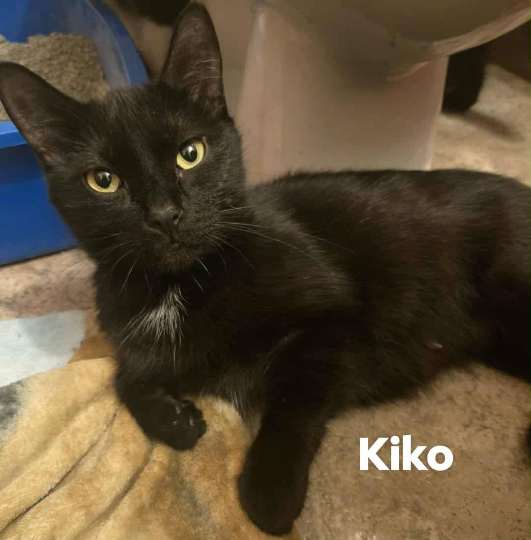 Kiko