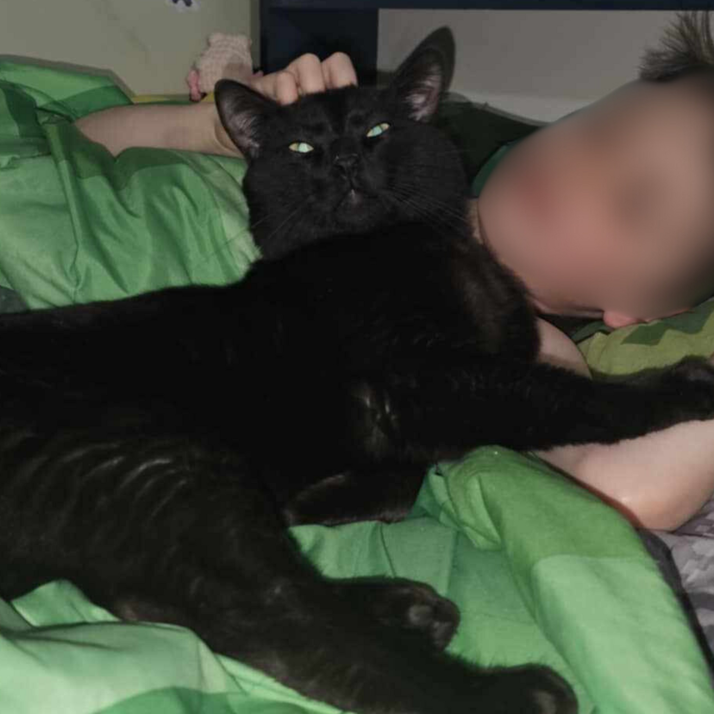 Blacky