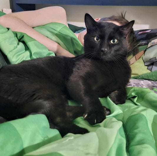 Blacky