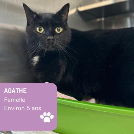 Agathe - Refuge CRM