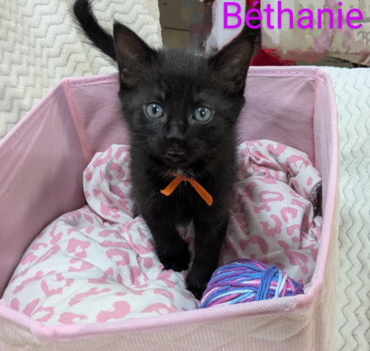 Béthanie - Refuge CRM