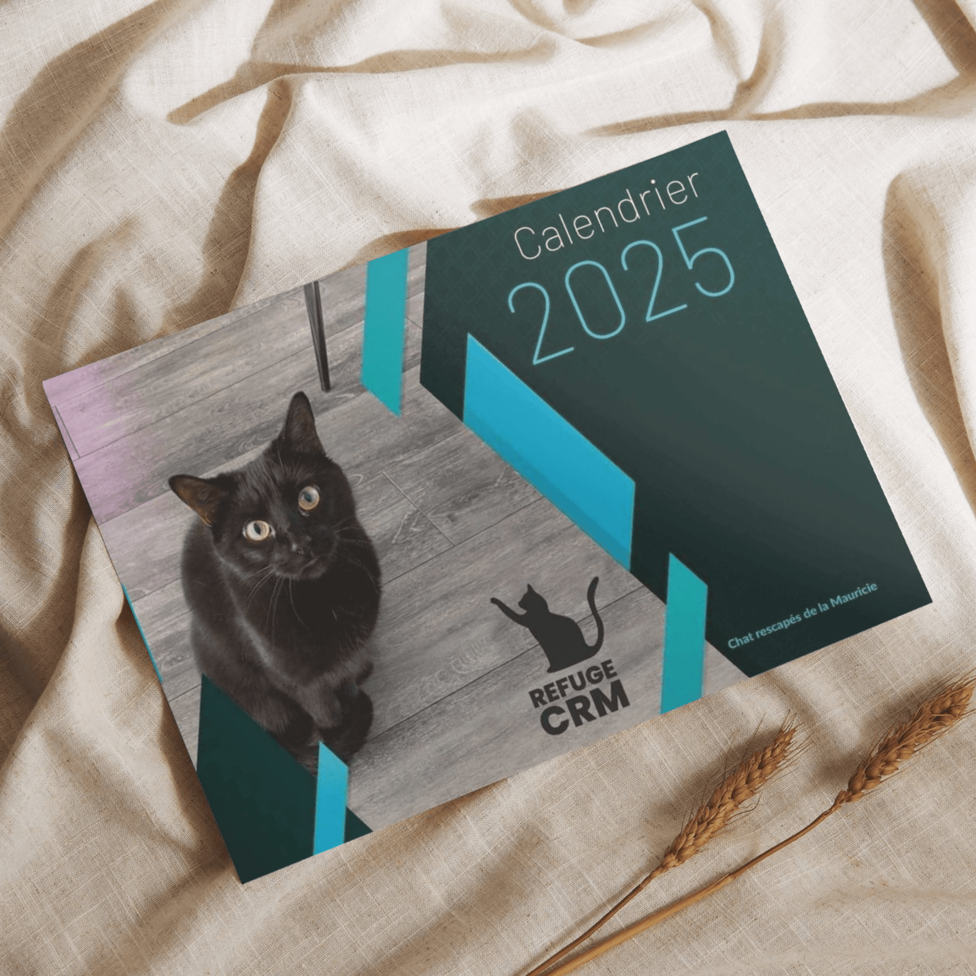 Calendrier 2025 – Chats rescapés de la Mauricie - Refuge CRM