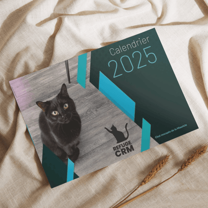 Calendrier 2025 – Chats rescapés de la Mauricie - Refuge CRM