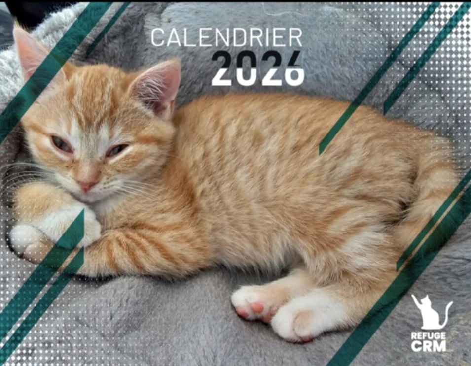 Calendrier 2026 - Refuge CRM