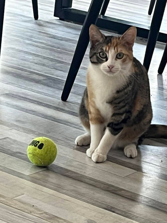Carla