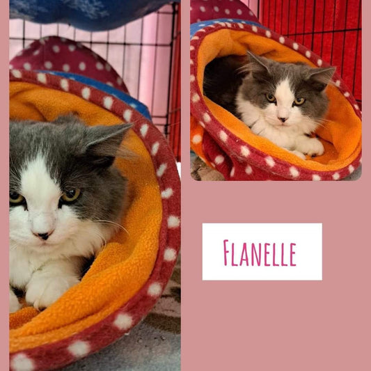 Flanelle - Refuge CRM