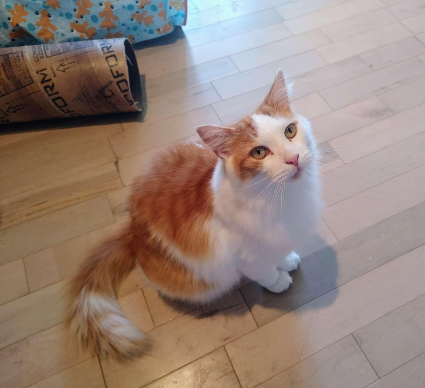 Handsome - Refuge CRM