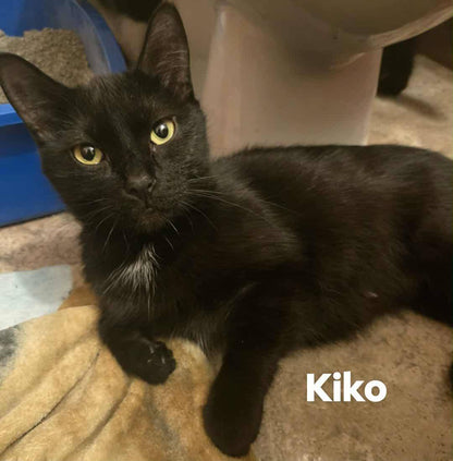 Kiko