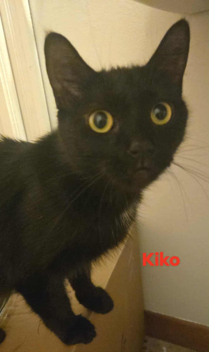 Kiko
