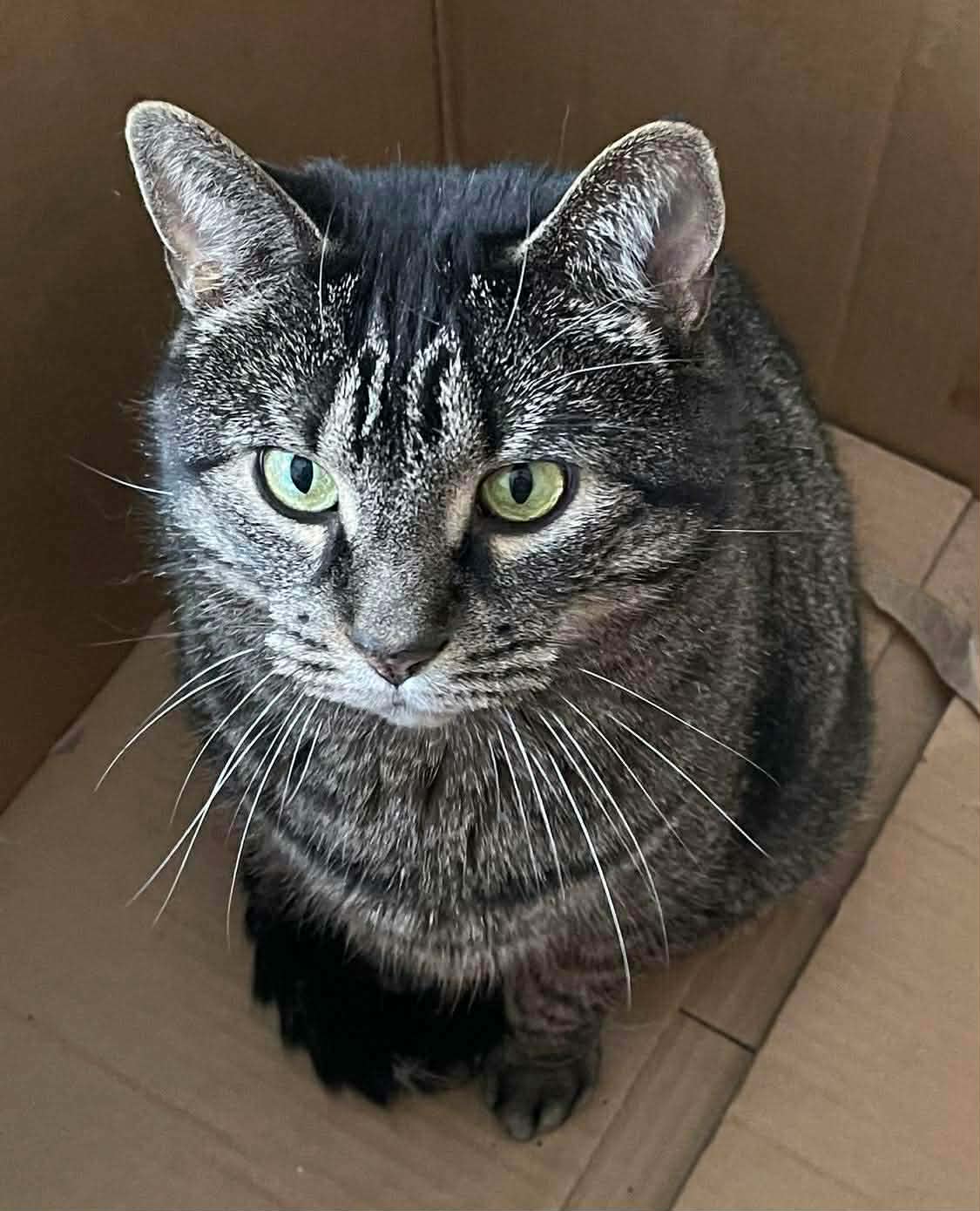 Molly - Refuge CRM
