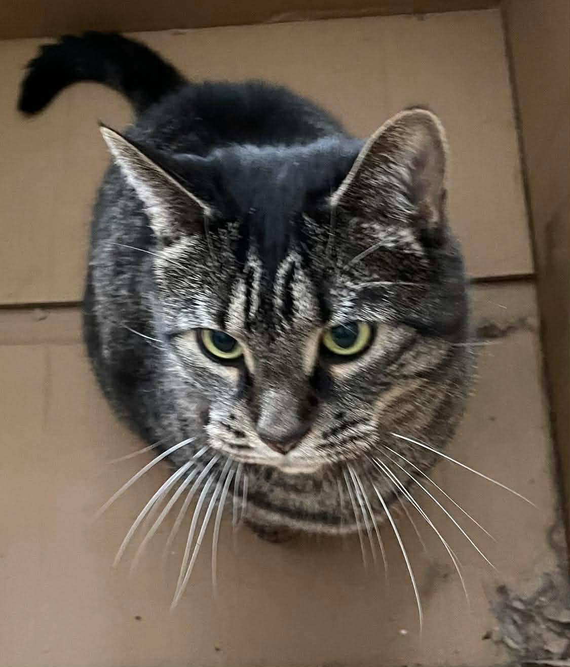Molly - Refuge CRM