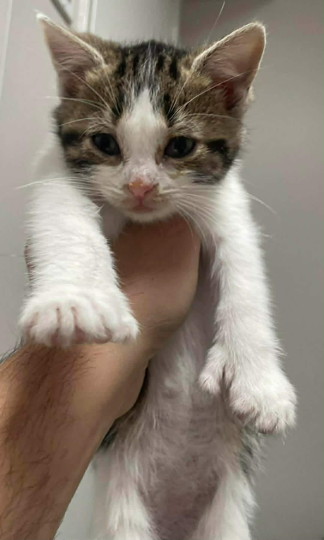 Oscar - Refuge CRM