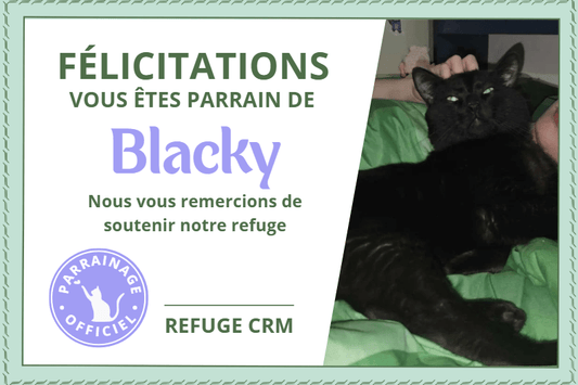 Parrainer un protégé - Refuge CRM