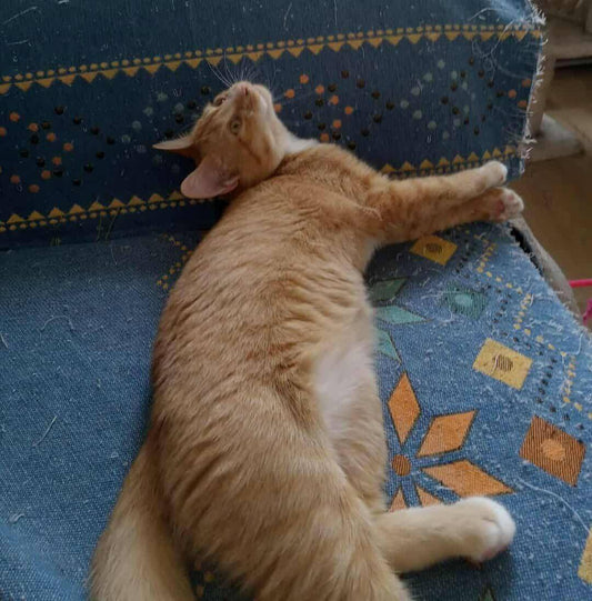Safran