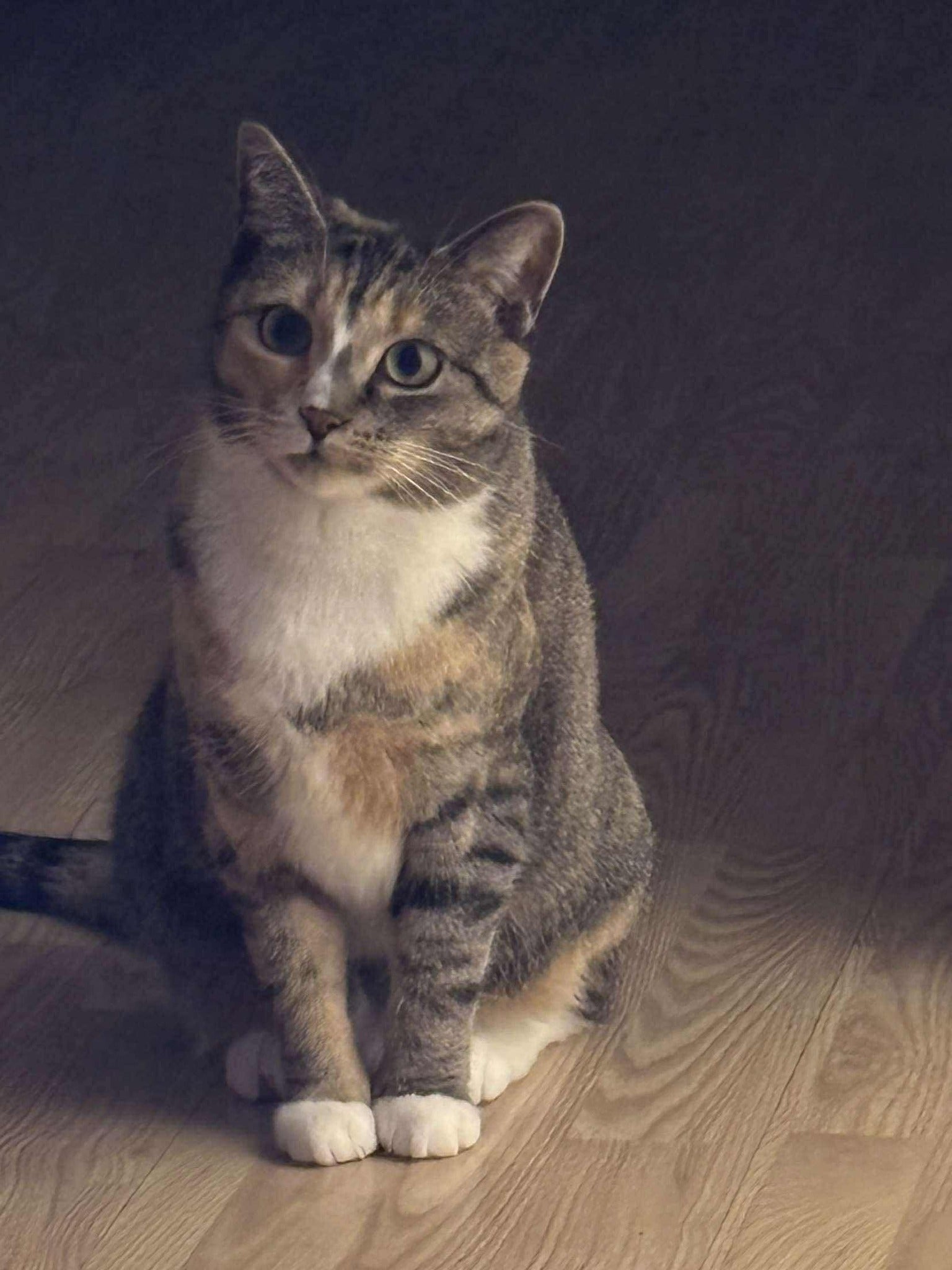 Valentina - Refuge CRM