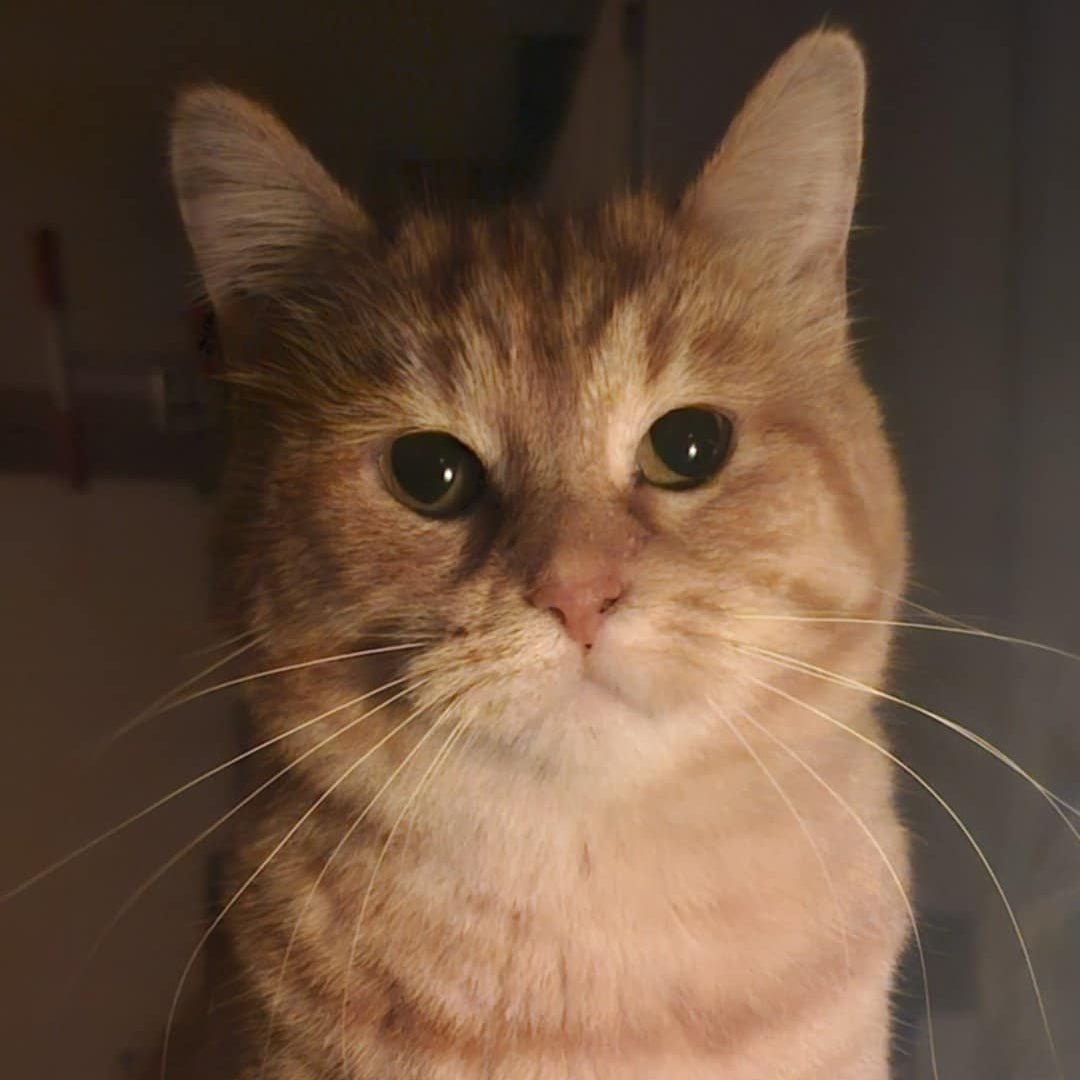 Zébulon - Refuge CRM